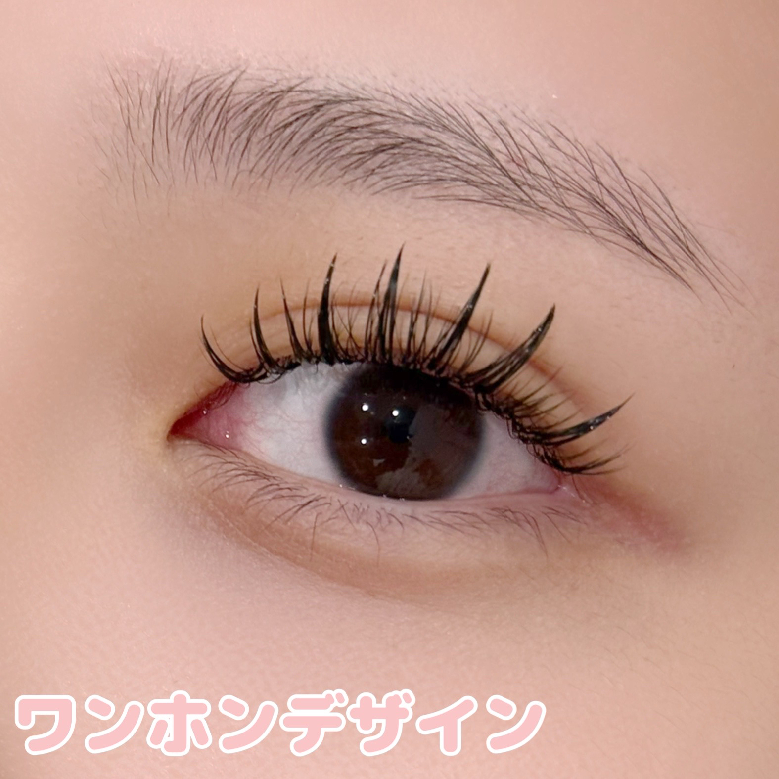 405_Fukuyama