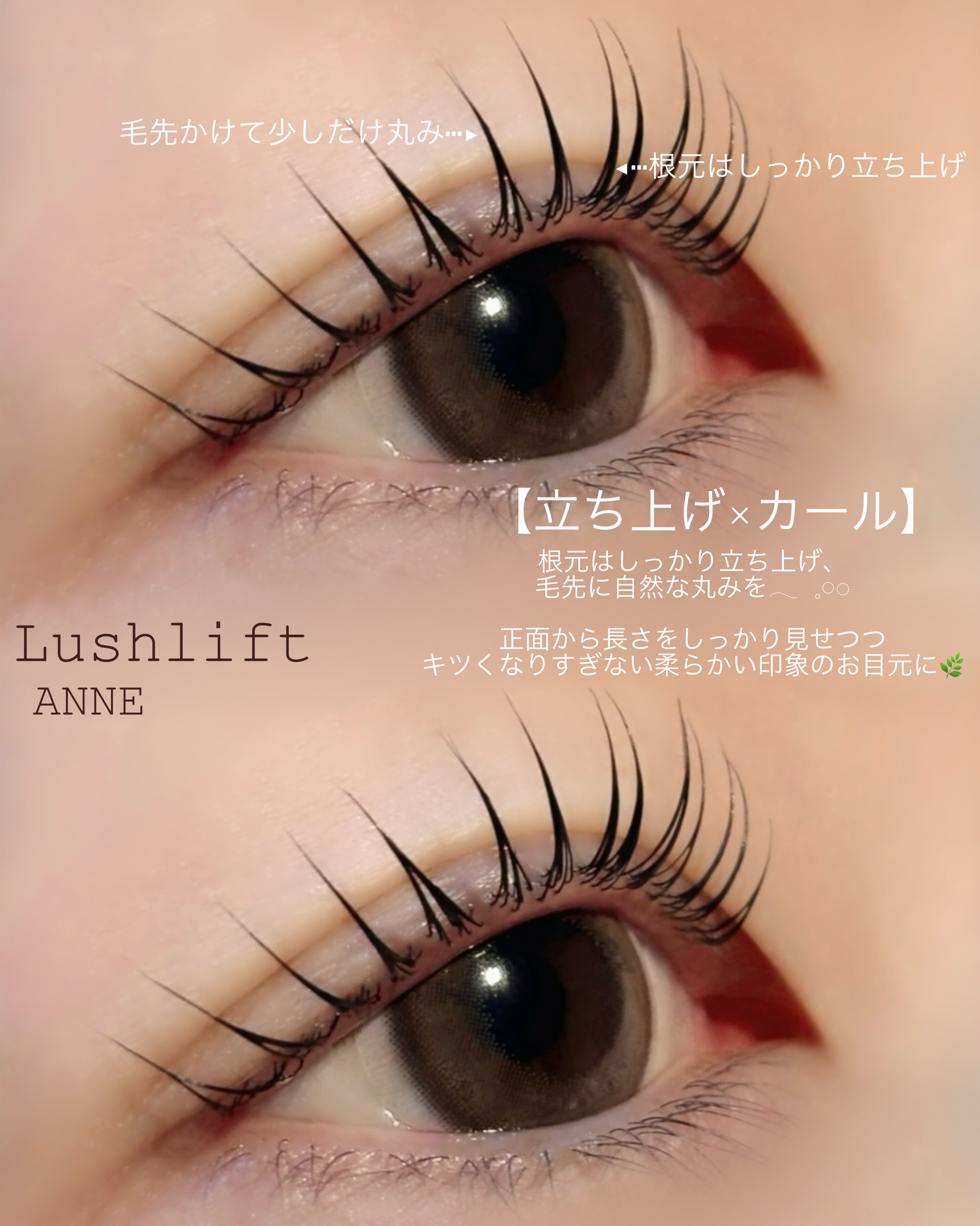 anne_chizu