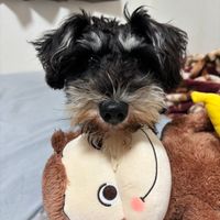 miyudsyo