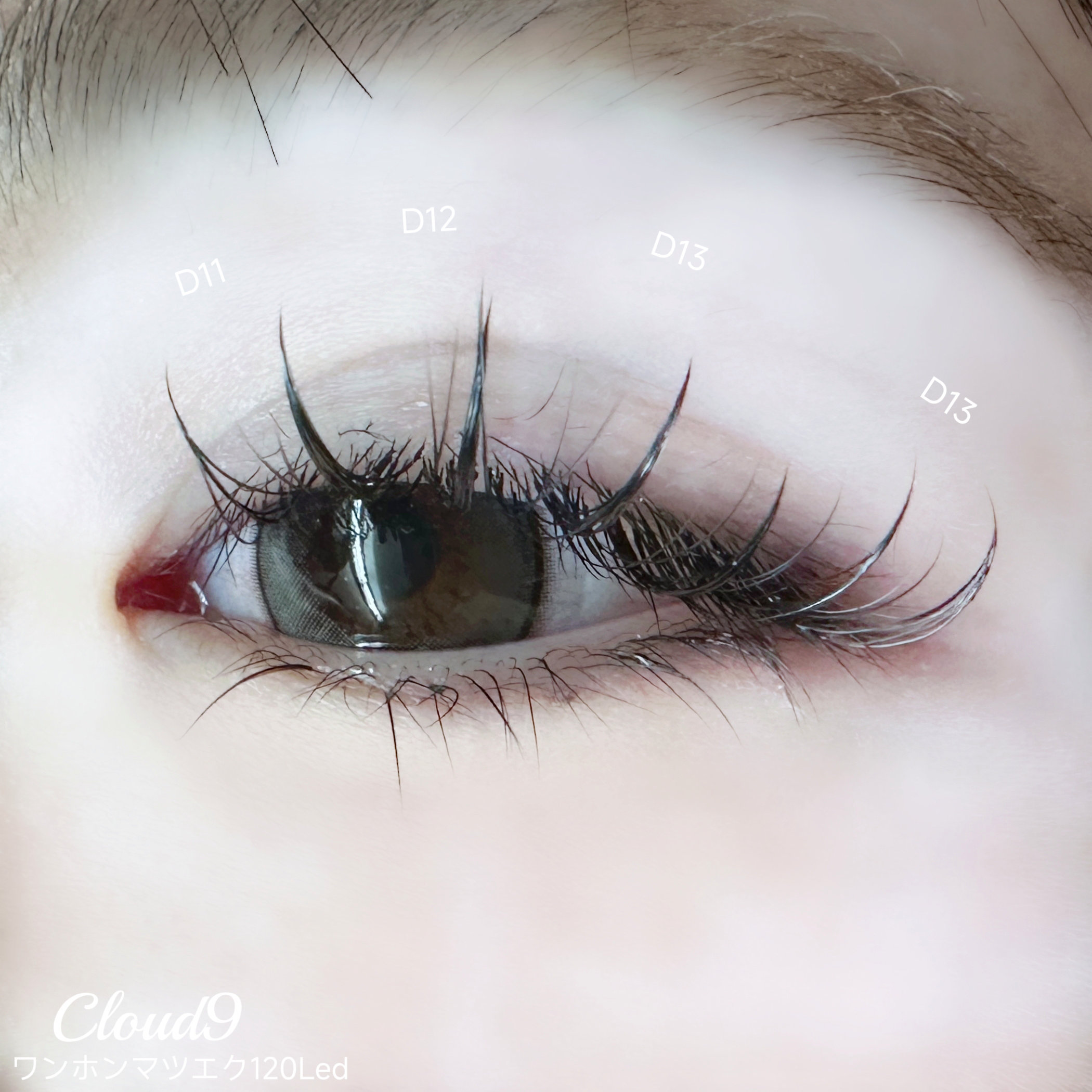 EyelashCloud9