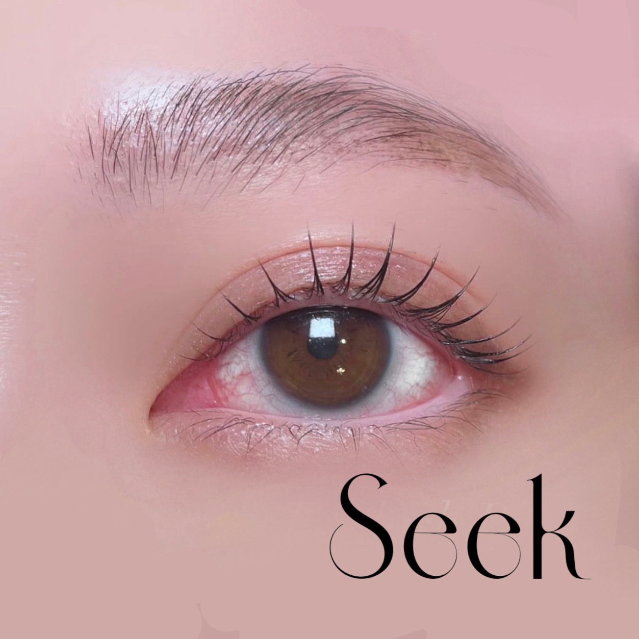 seek._maha