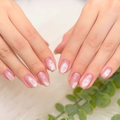 【新規限定】マグネットワンカラー