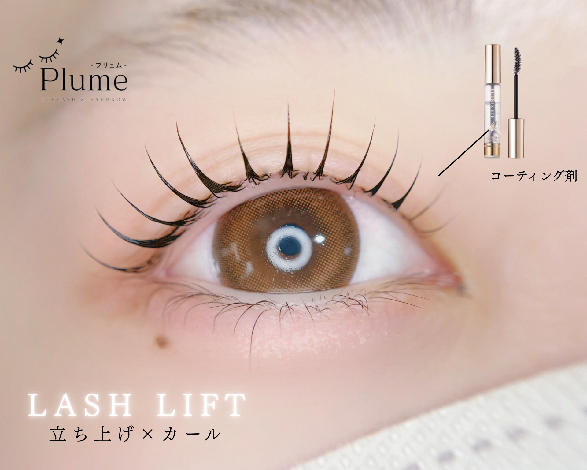 plume_salon