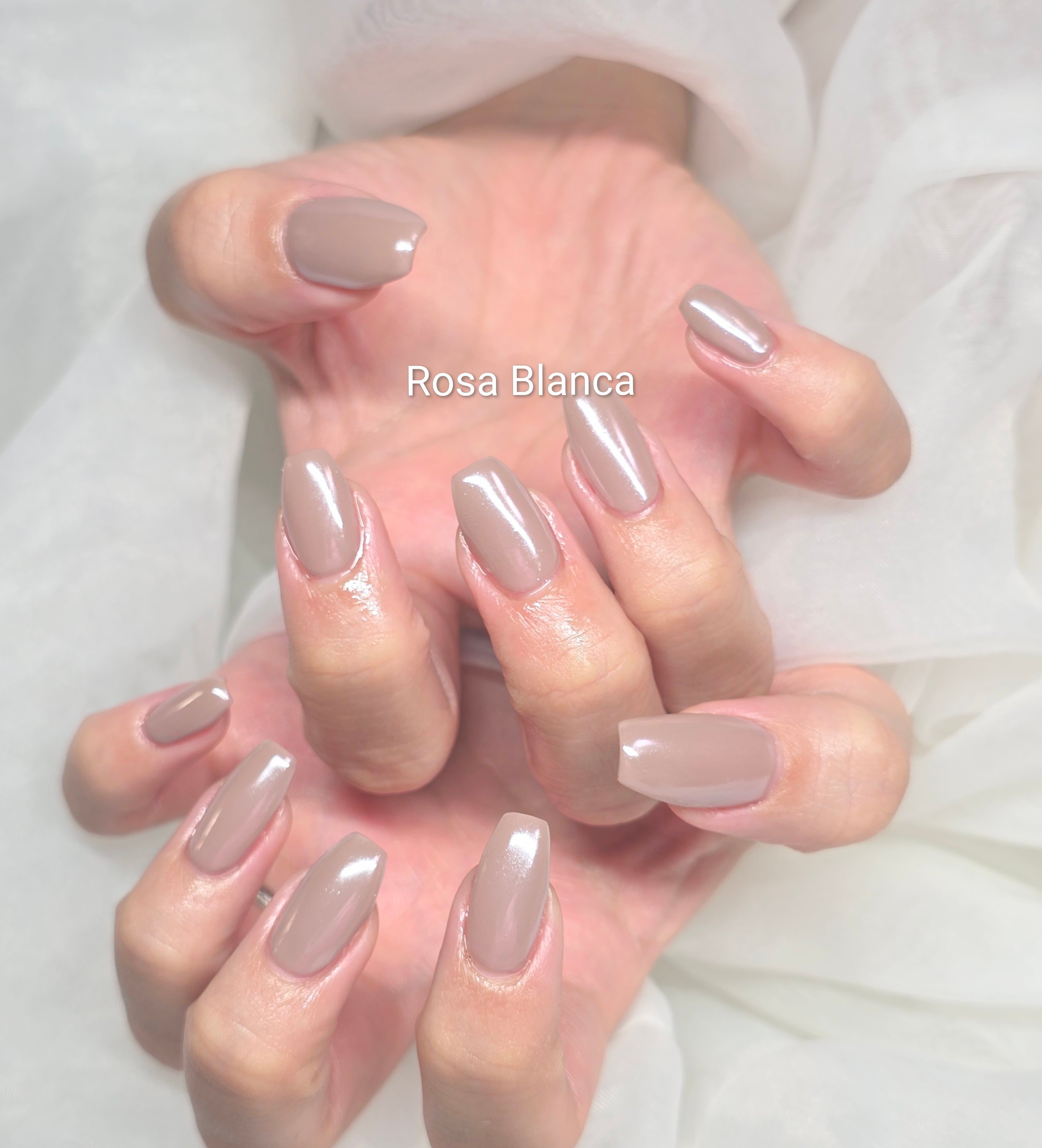 Rosa_Blanca