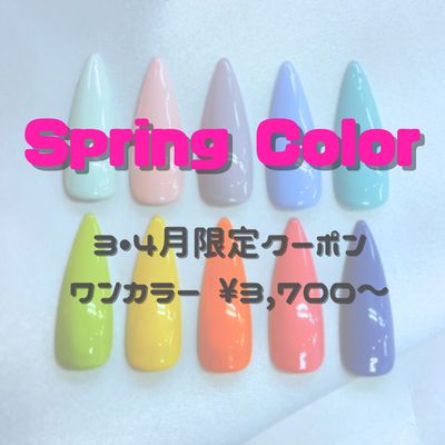 3•4月限定🌸新色ワンカラークーポン