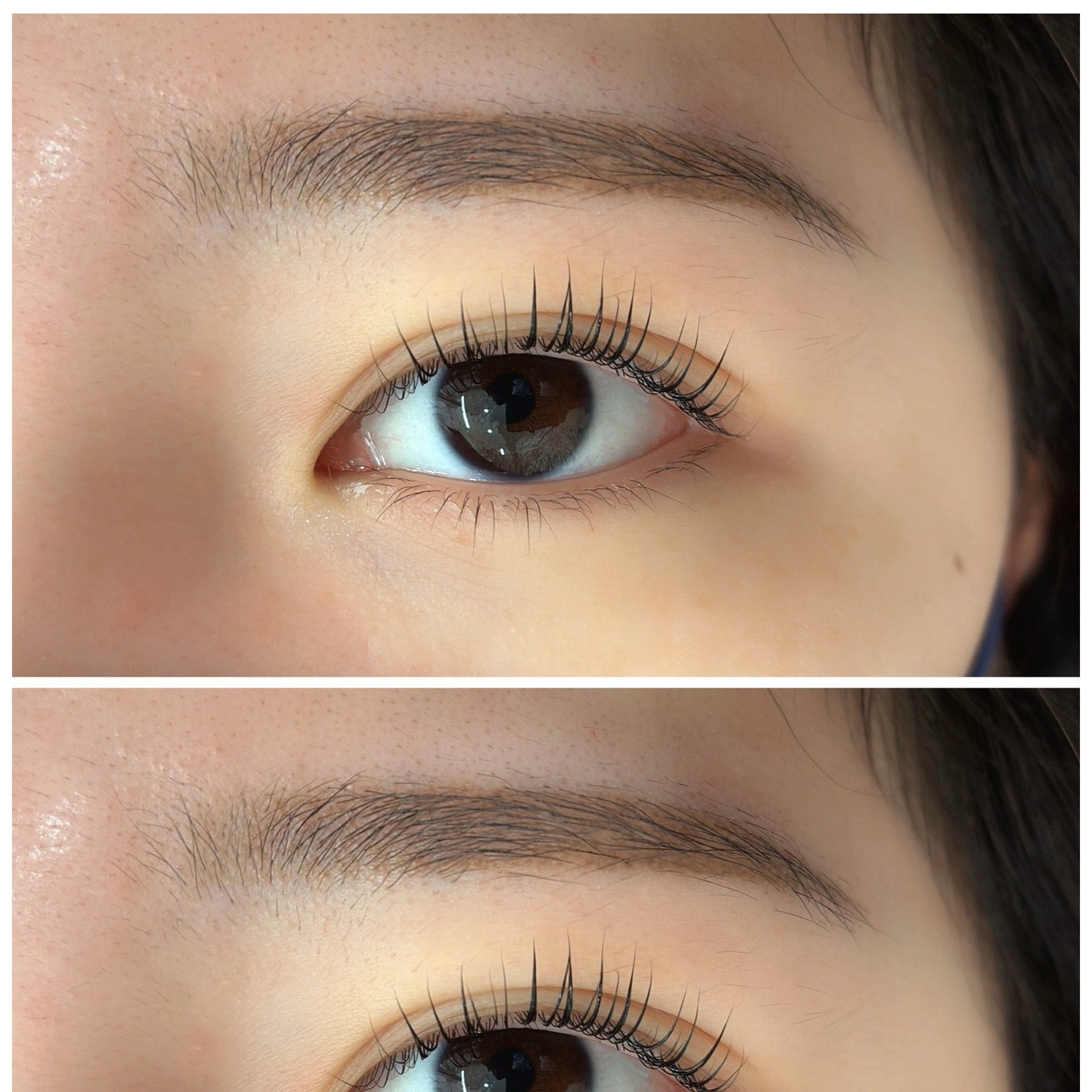 plume.eyelashsalon