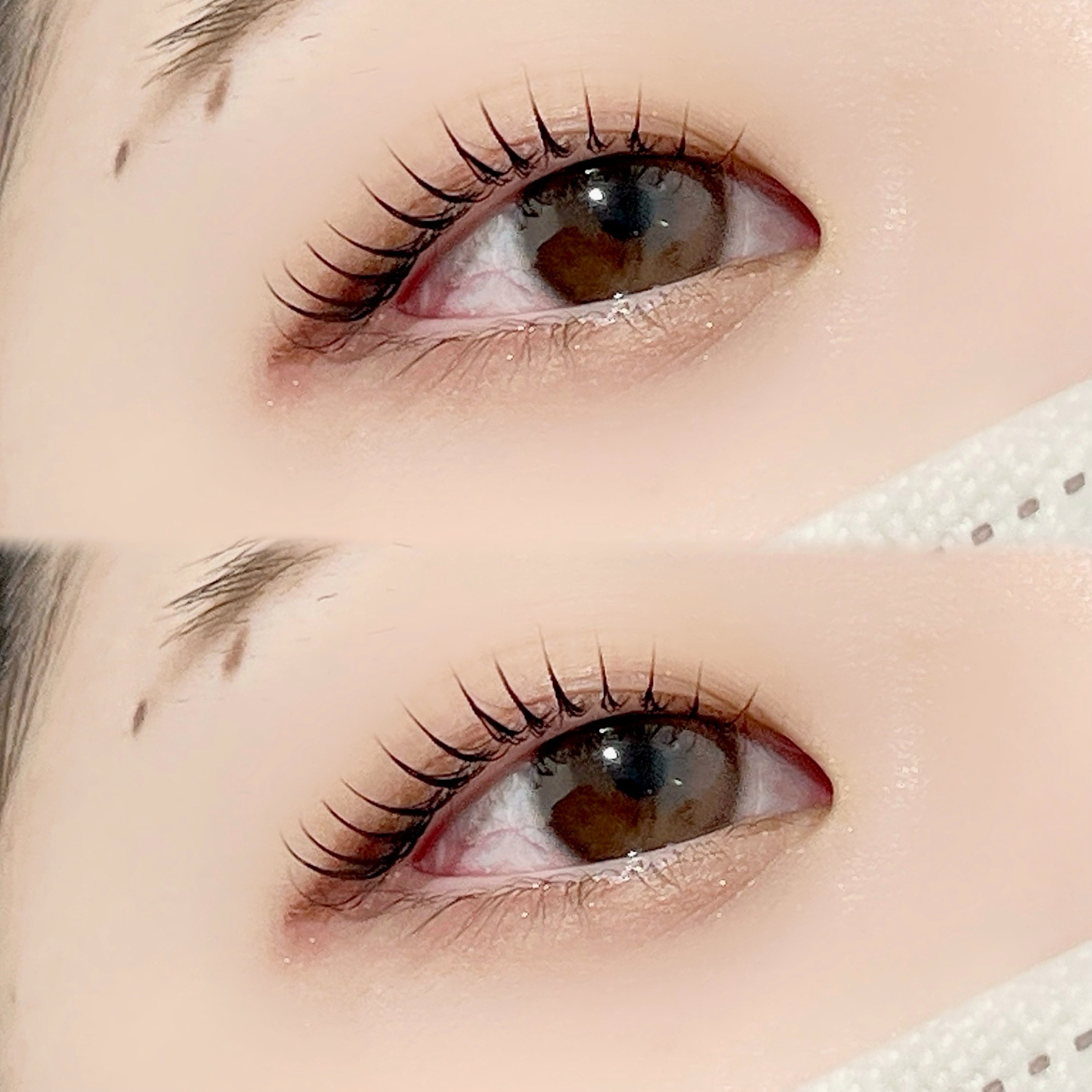 iolo_akari