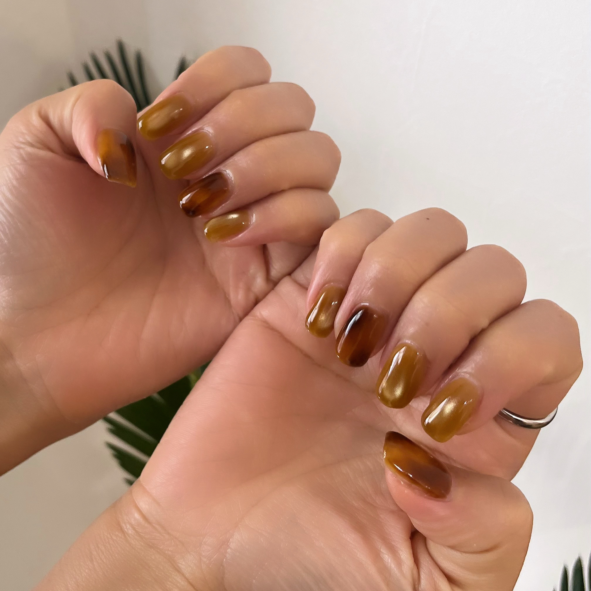 s.ponail