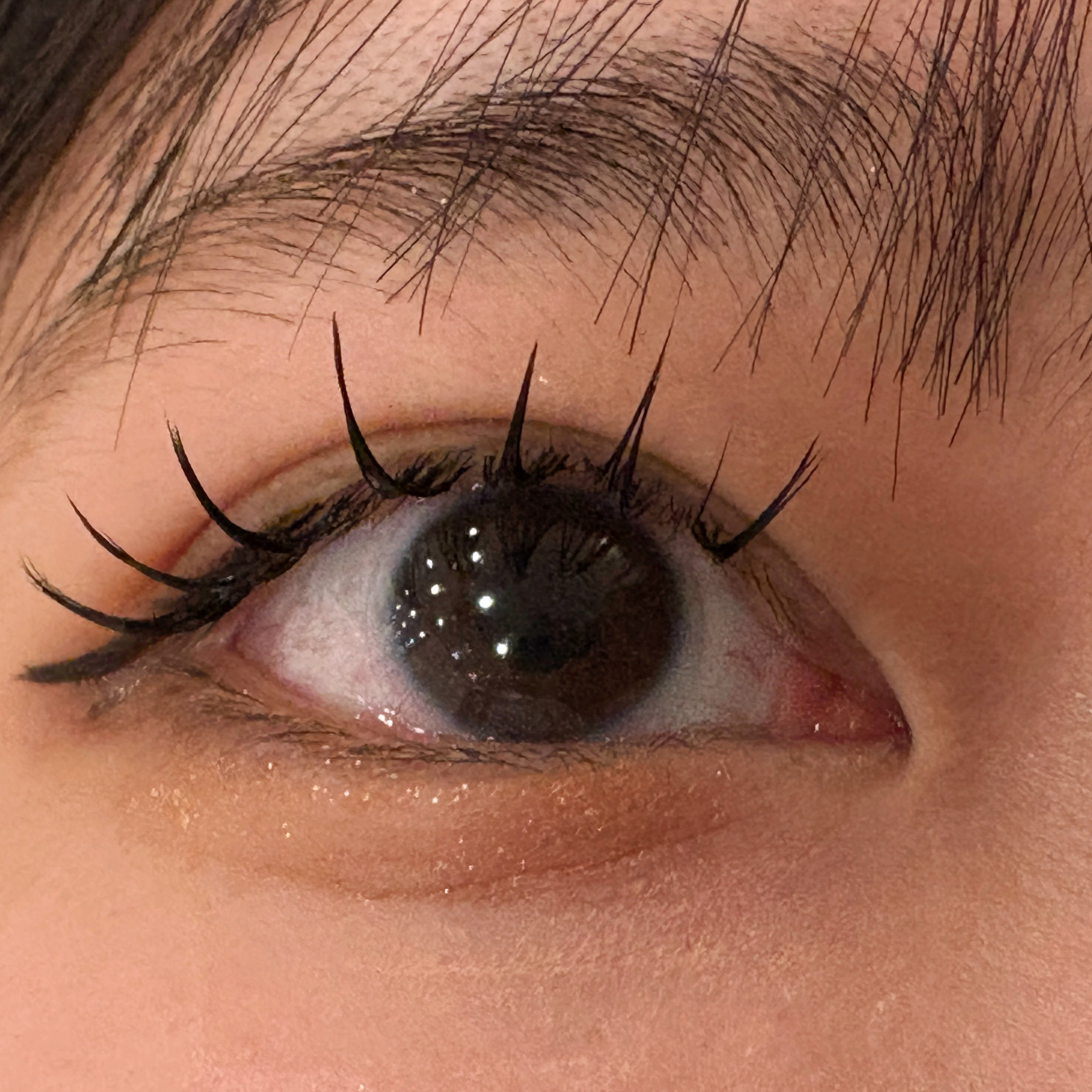 saorin_trueye