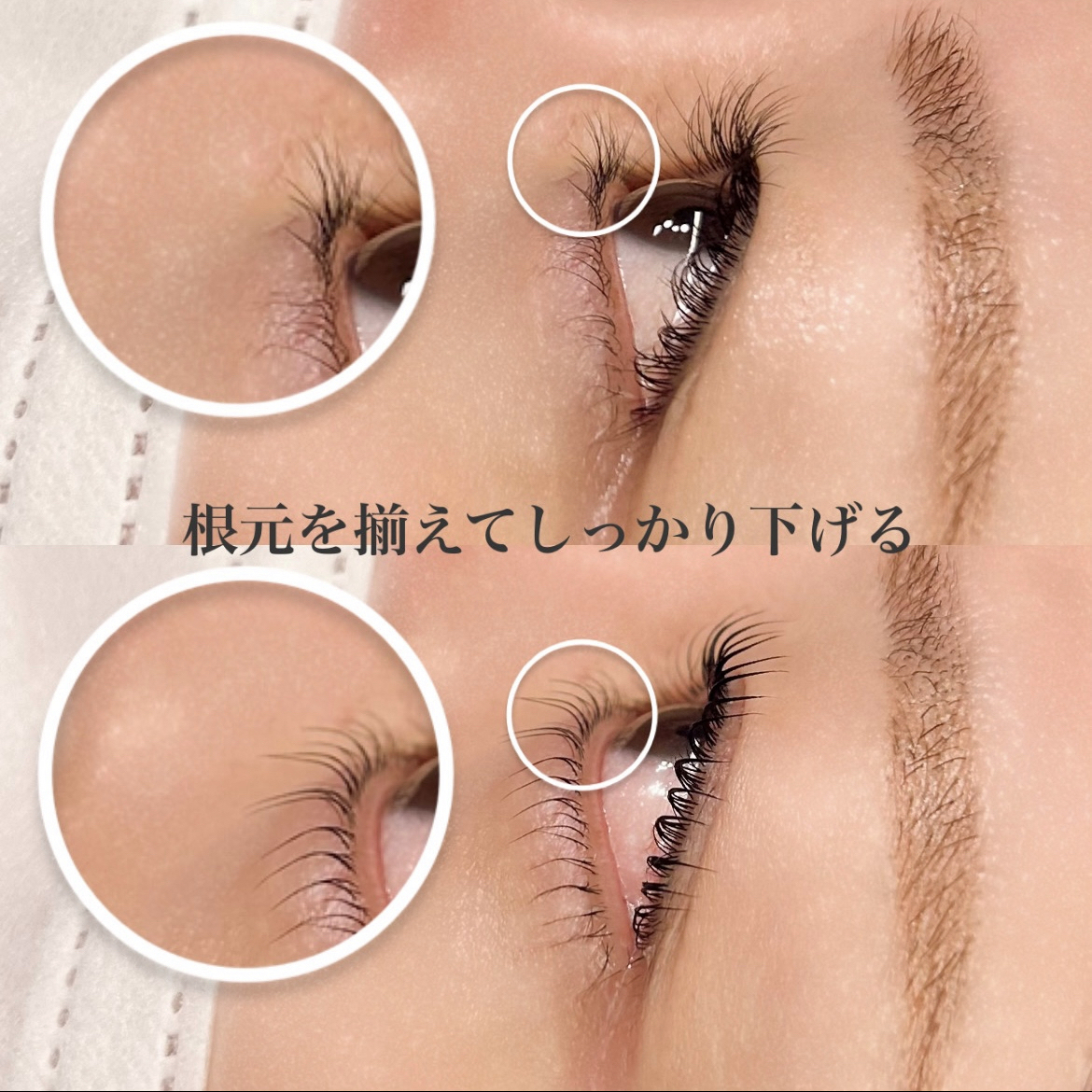 alb_tomoka