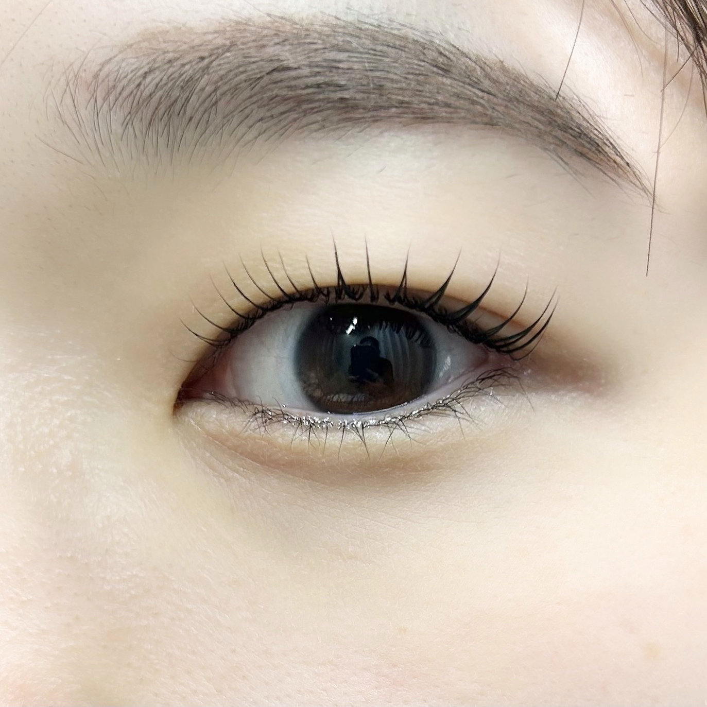 ciela_eyelash