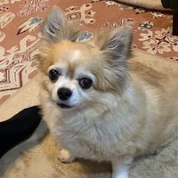 nana_____0707