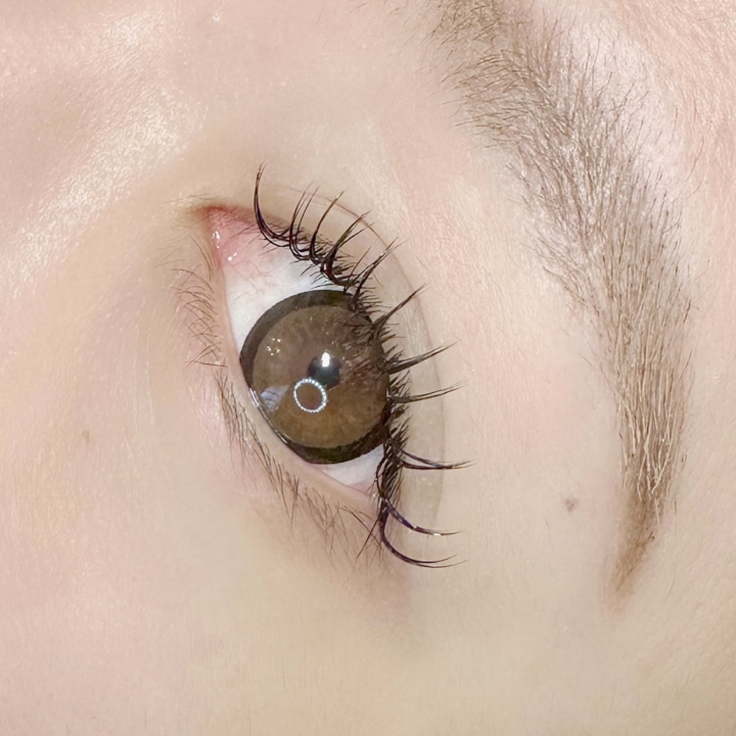 eye_risamisawa
