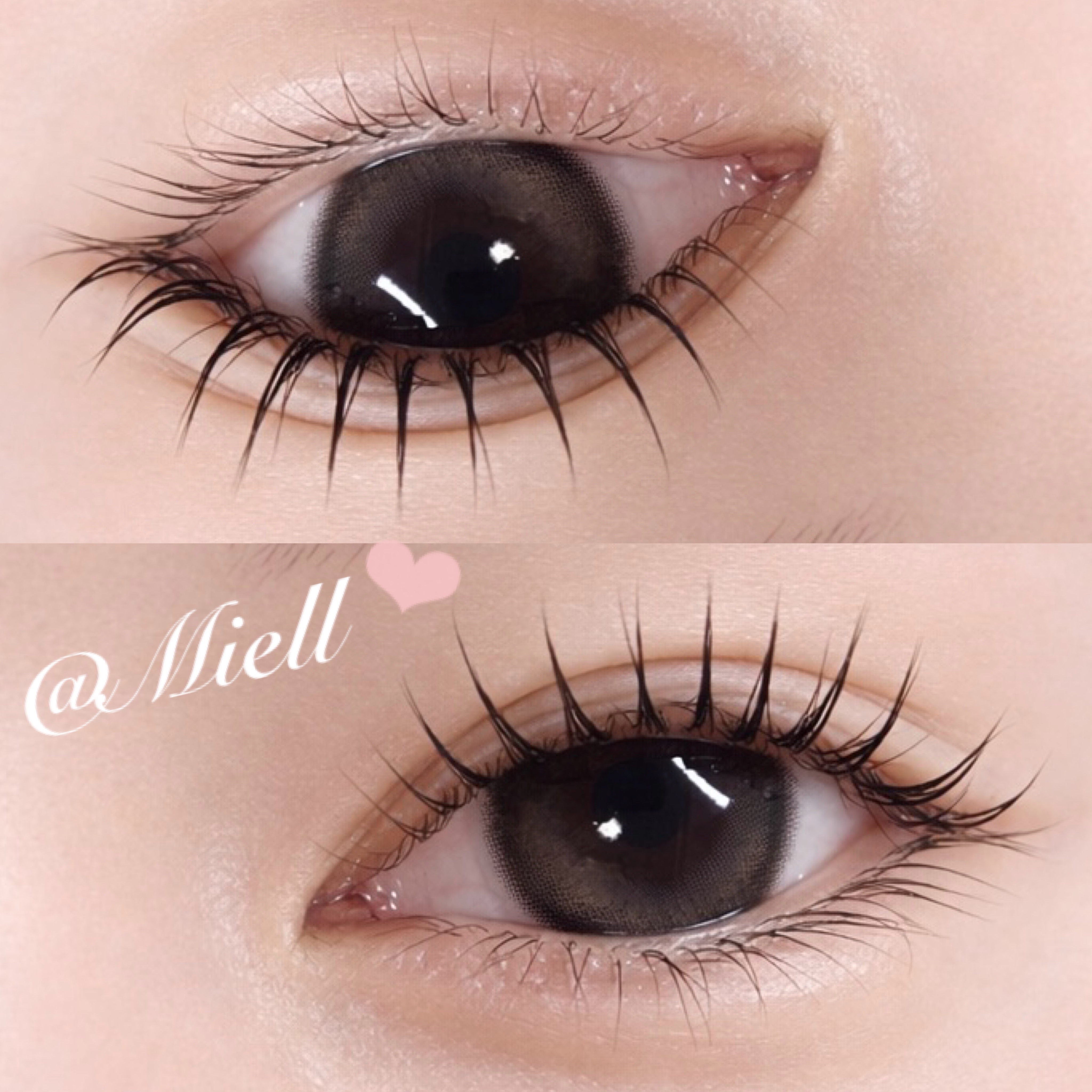 MEI_Miell