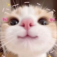 Nienail_MinMinchan