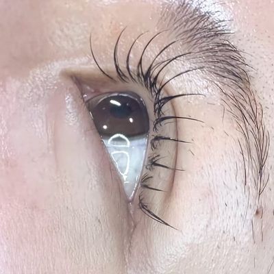 フラットラッシュ100本