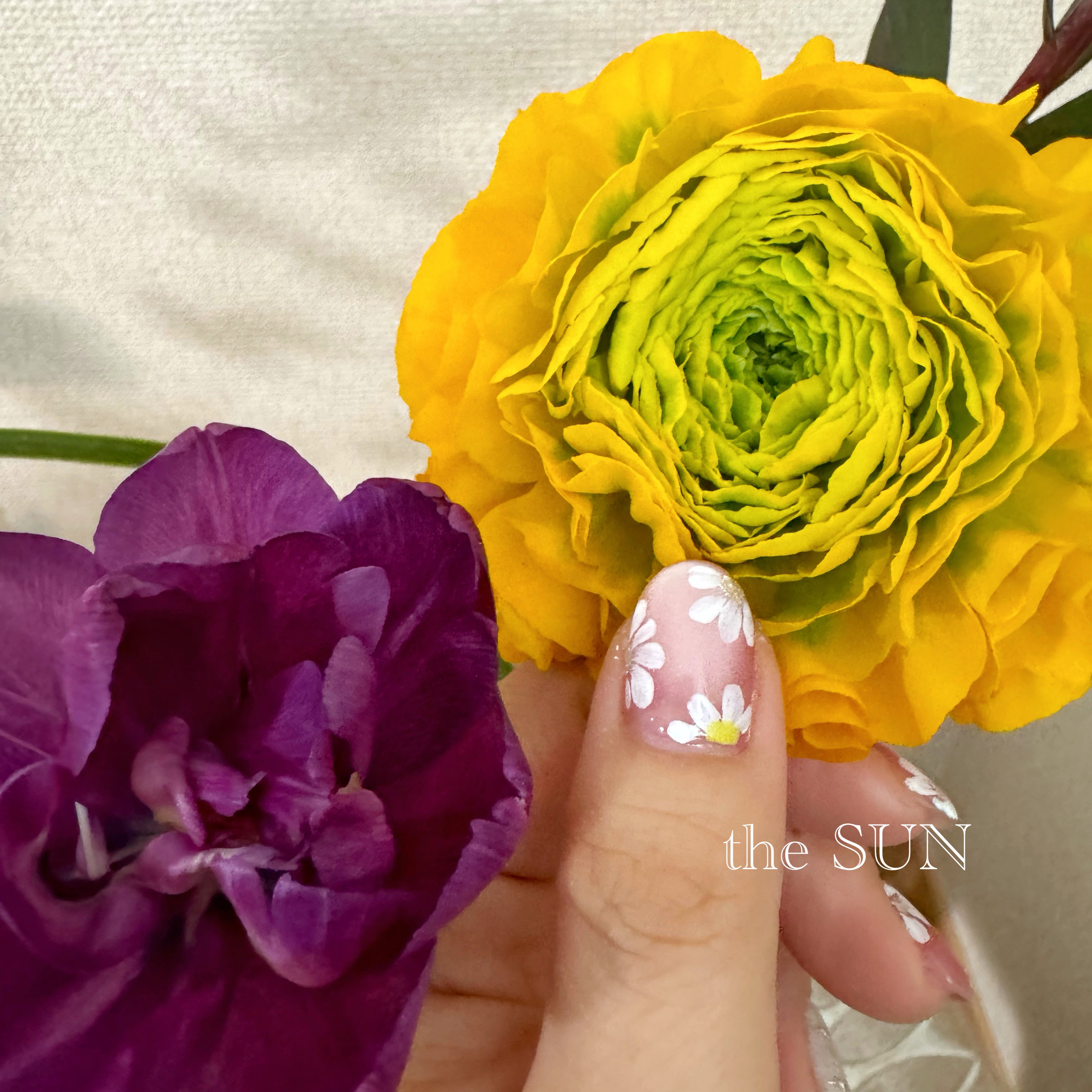 chienails
