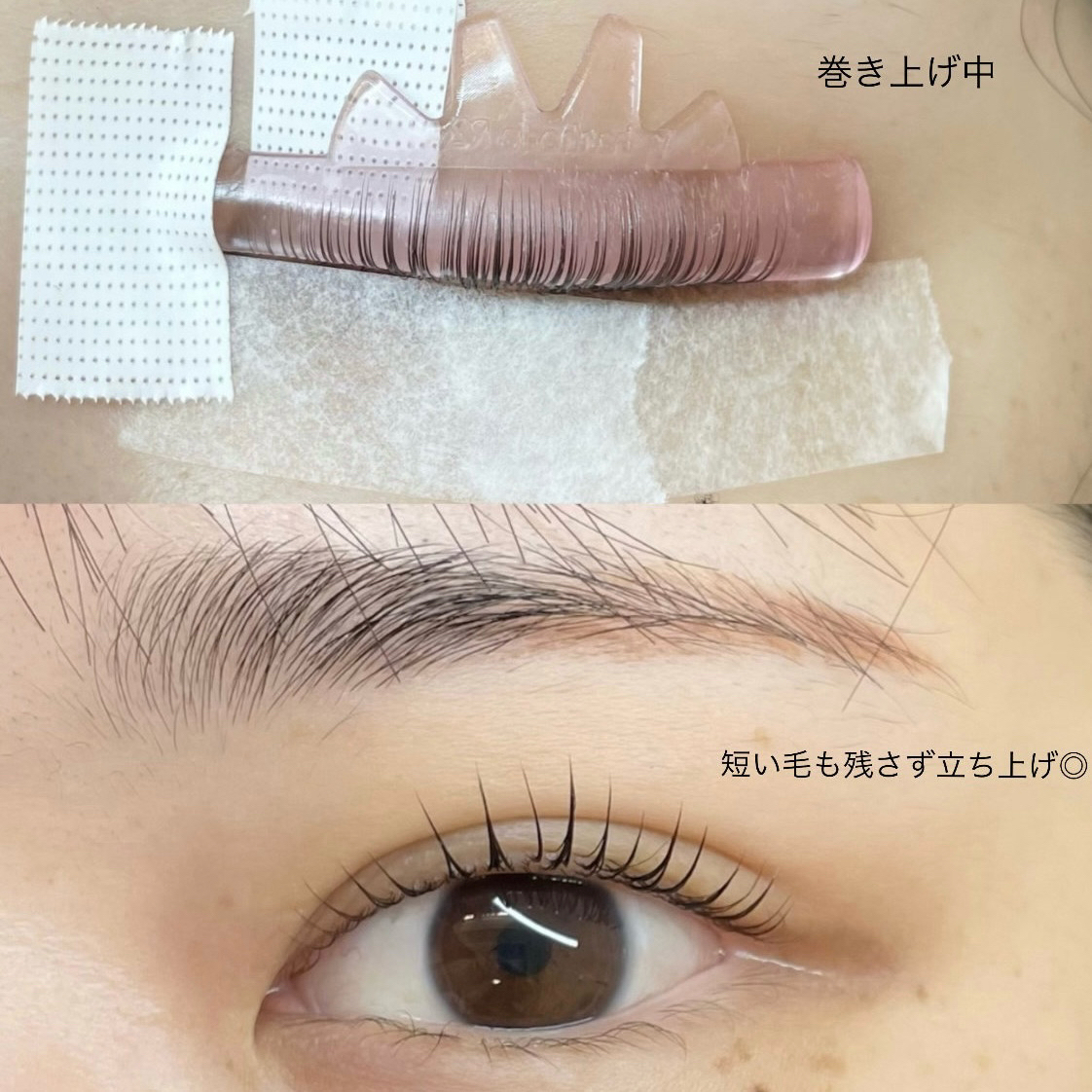 noi_lashroom.ruka