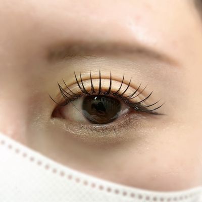 フラットラッシュ140本