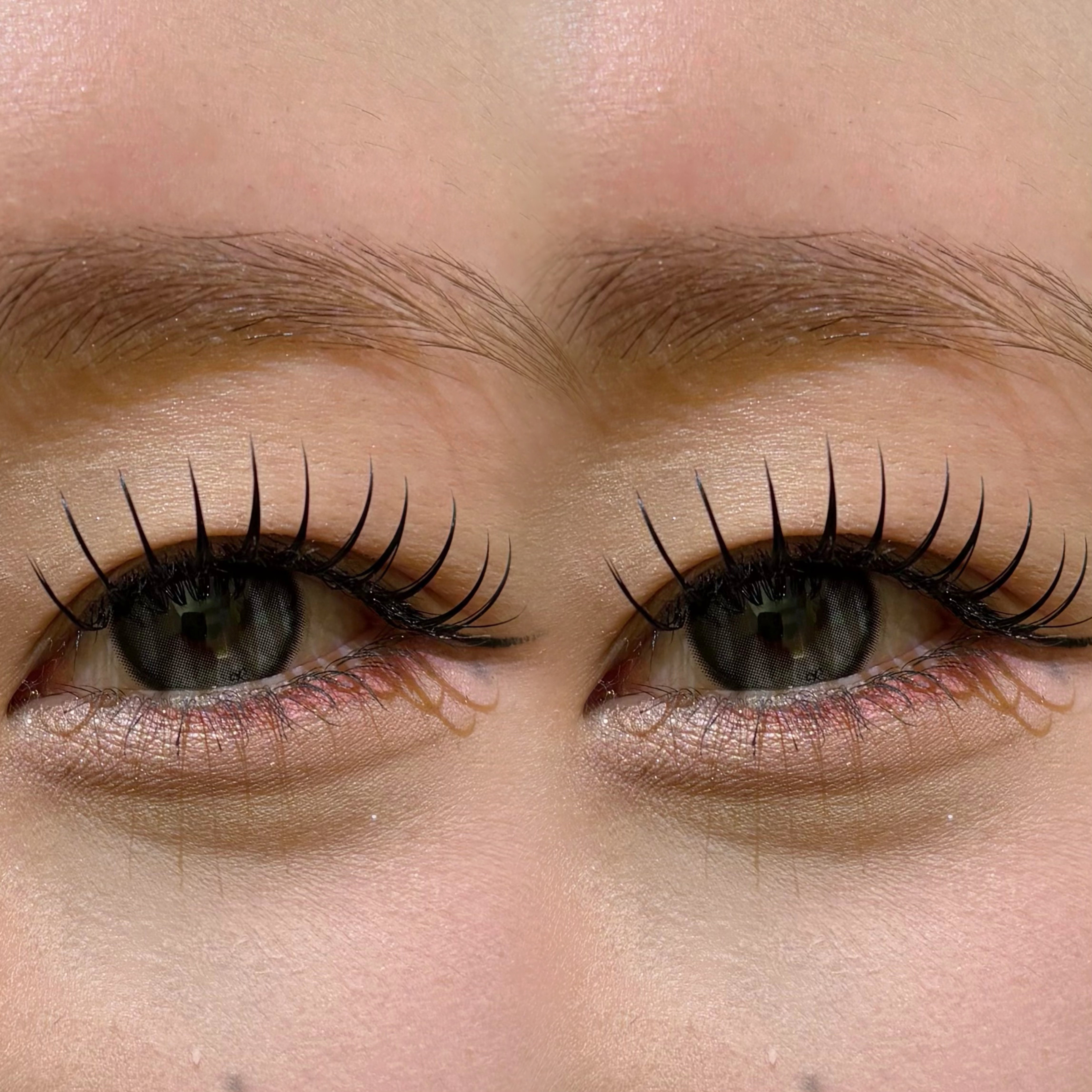 eyelash.suzuna