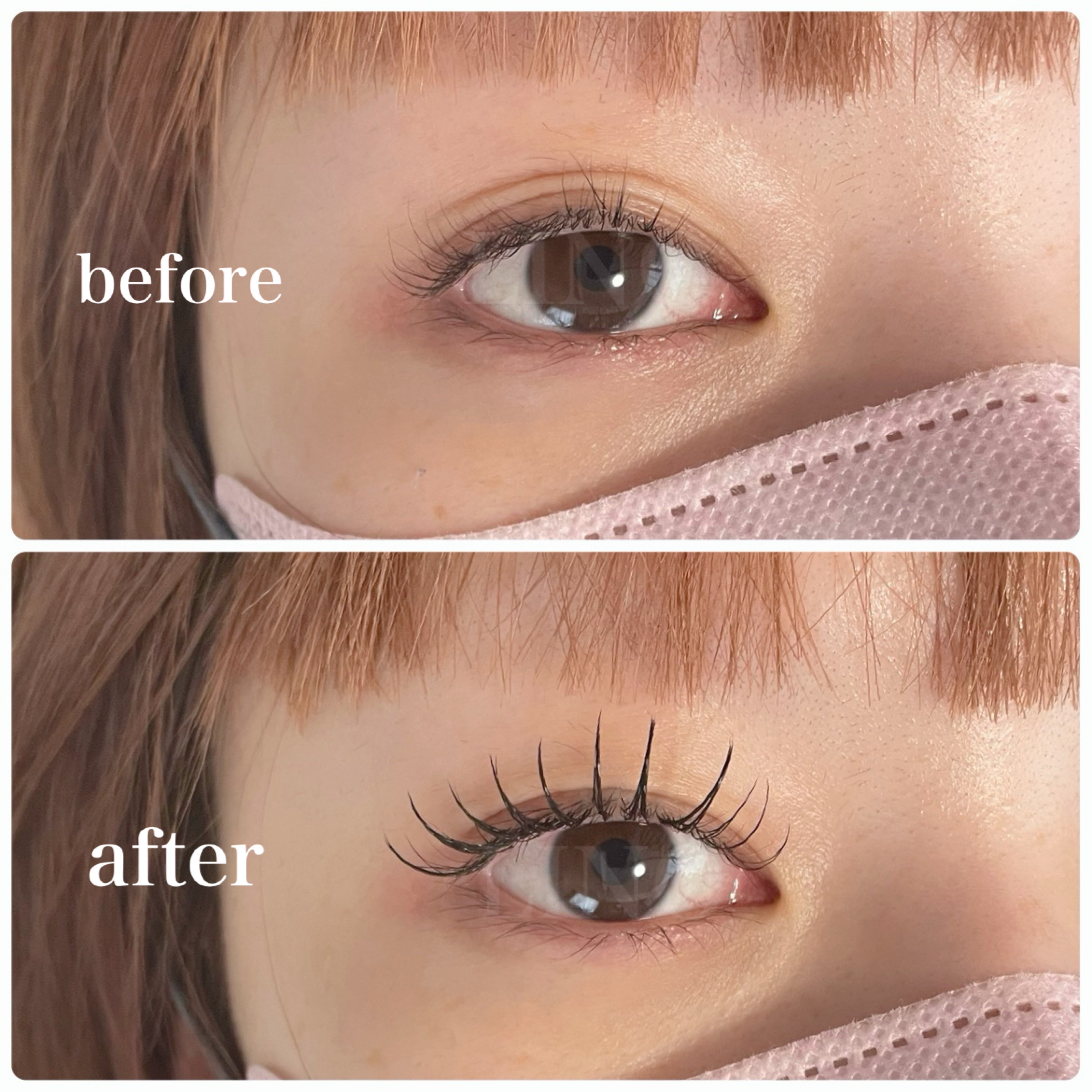 LINO_eyelash.
