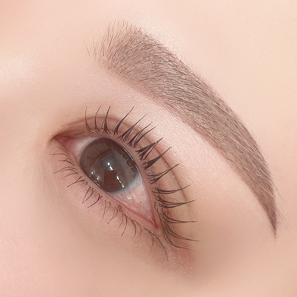 lily_eyebeauty