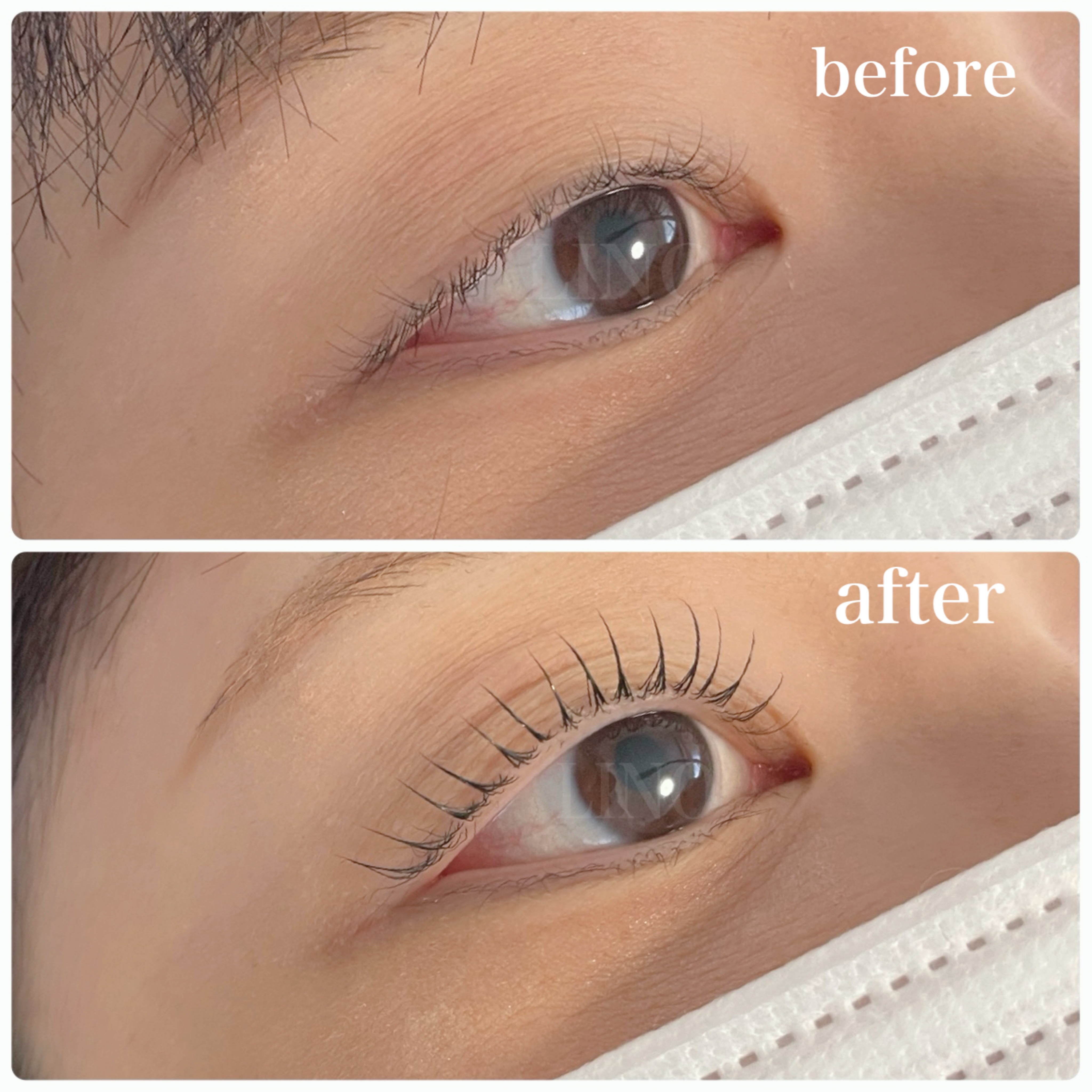 LINO_eyelash.