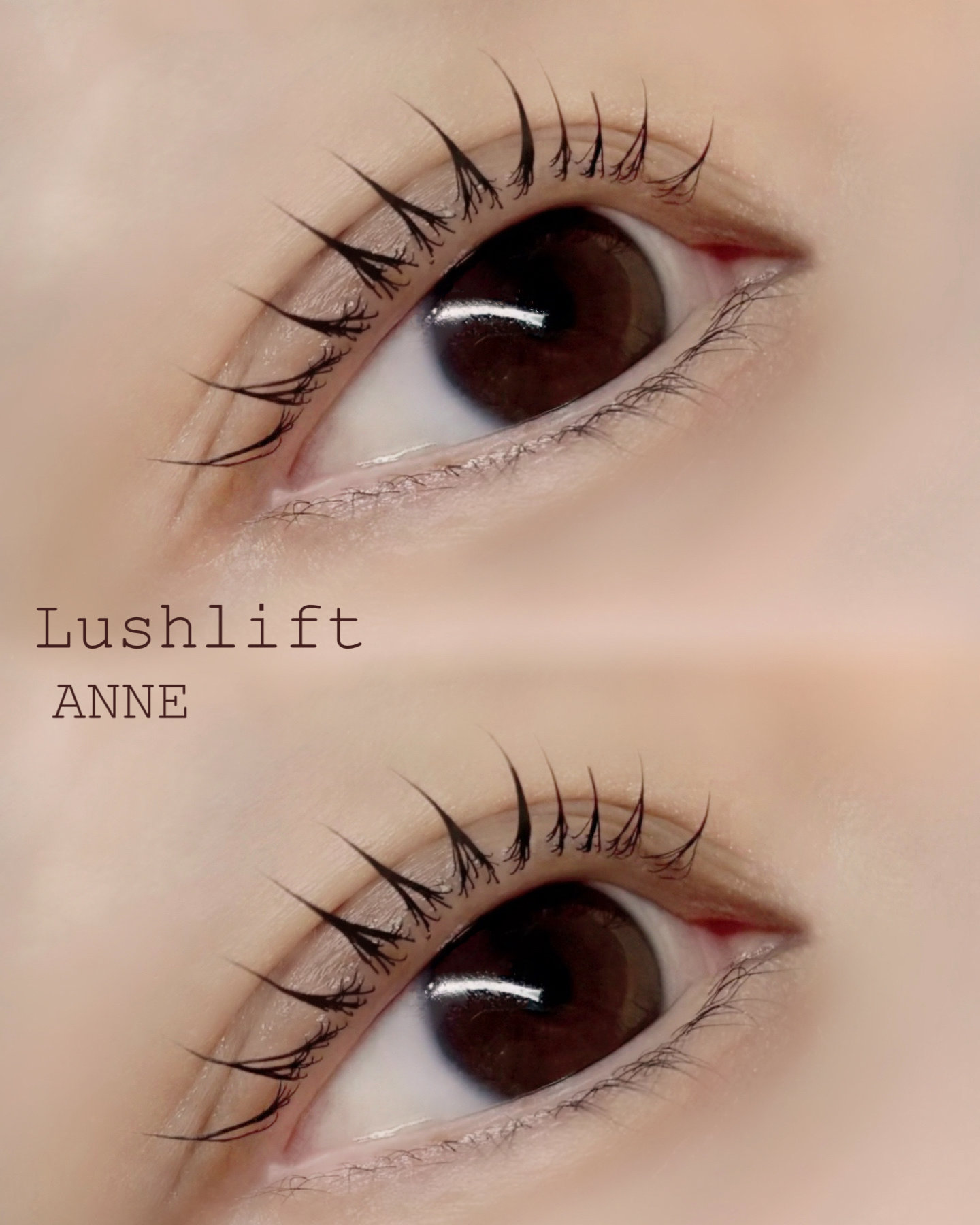anne_chizu