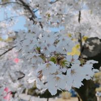 kamakura123