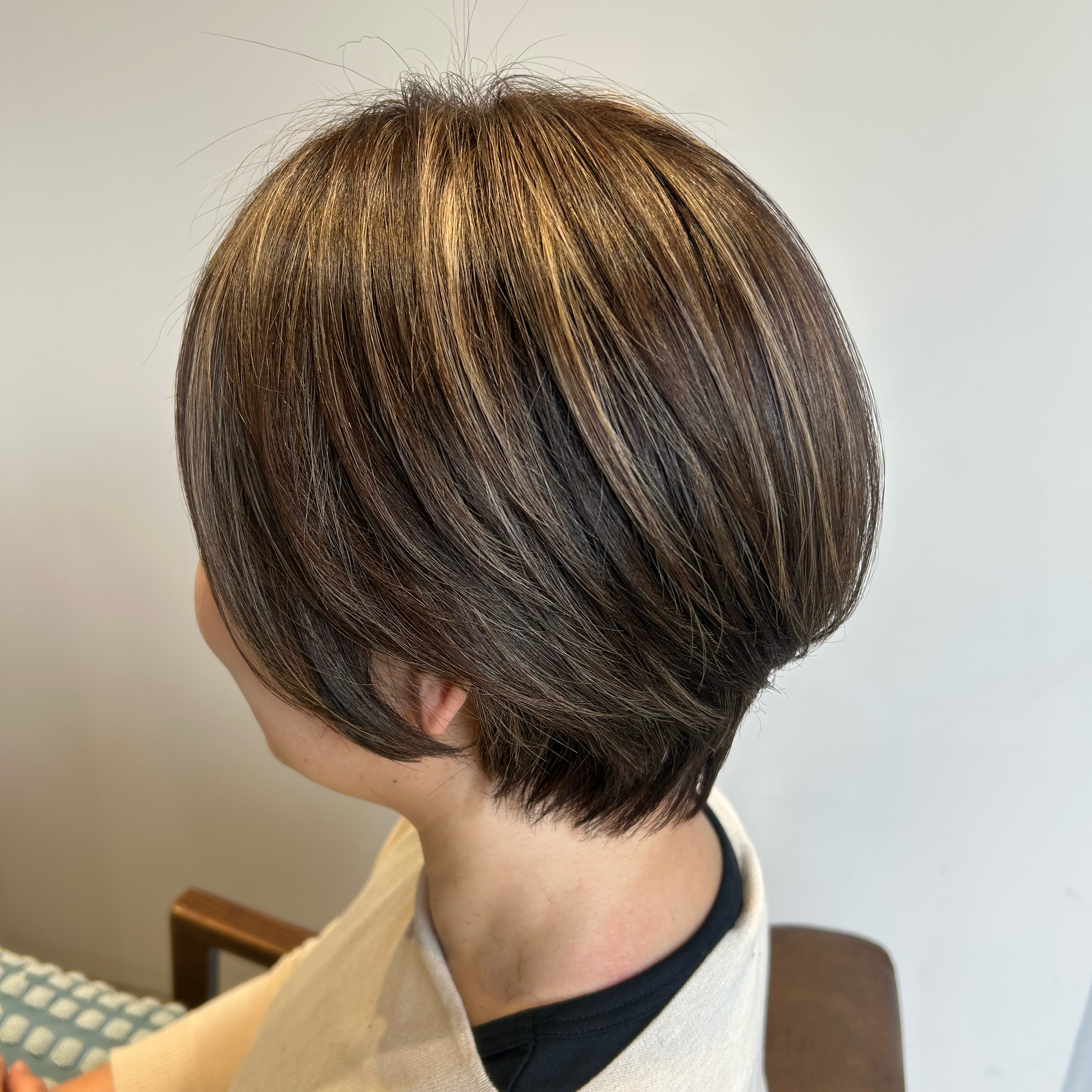rivegauche_fujiwara