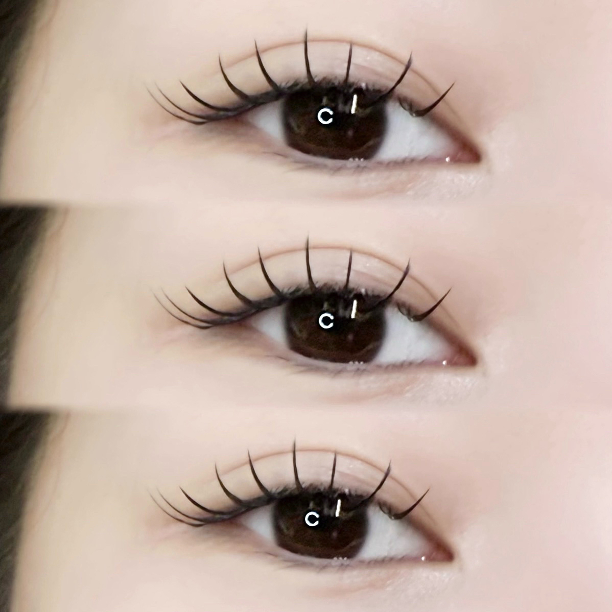fein_ruu