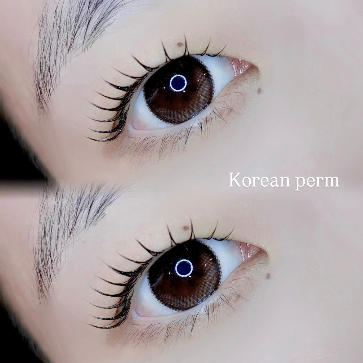 koto_trueye