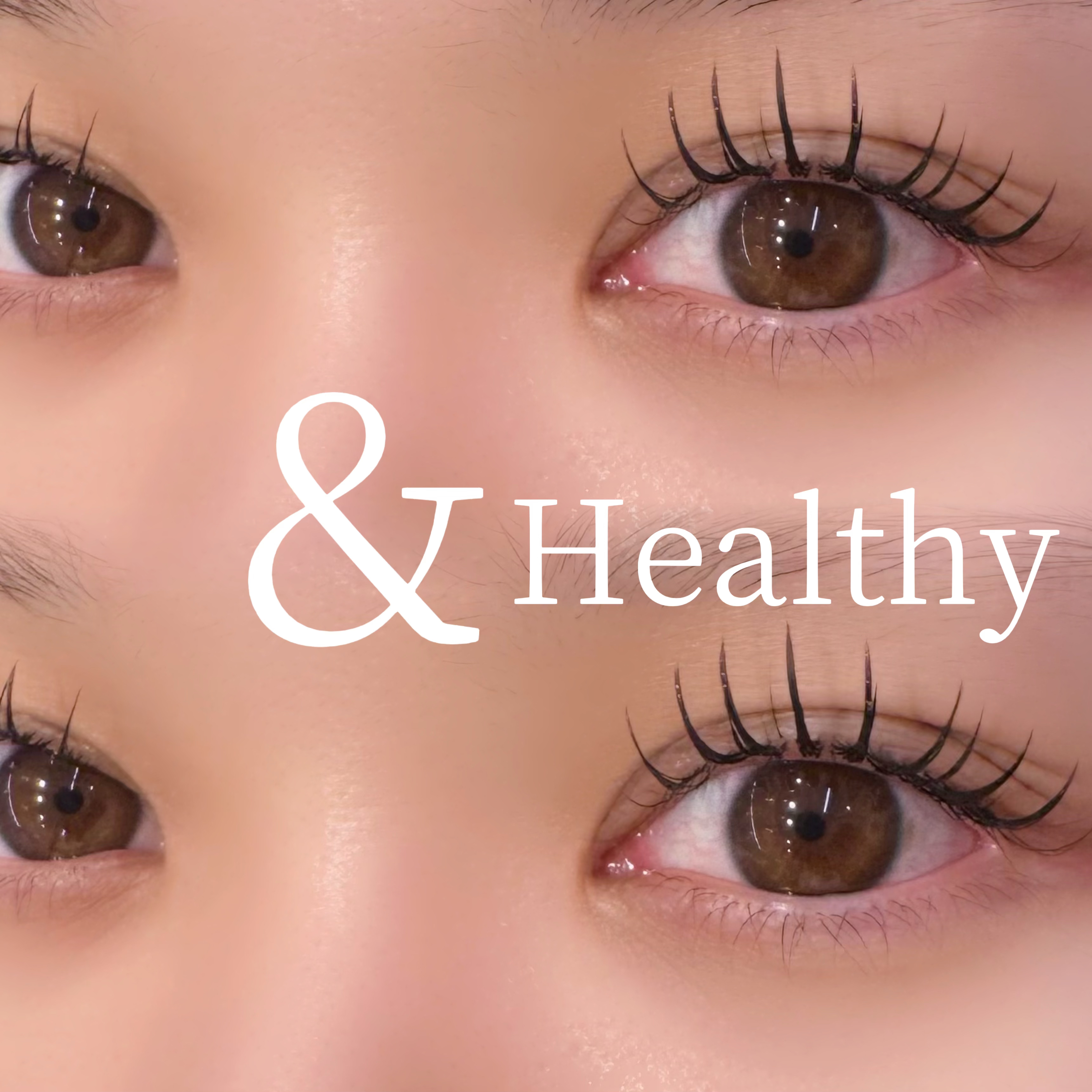 eye_ayame