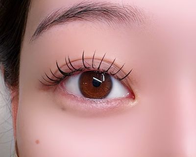 フラット100本 