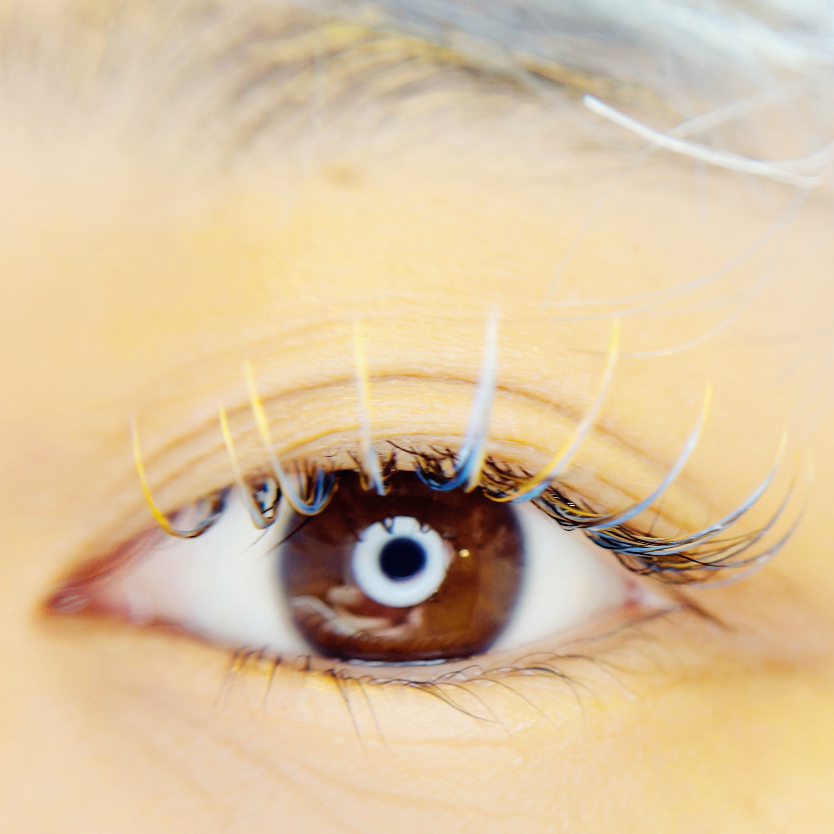 saaari___eyelash