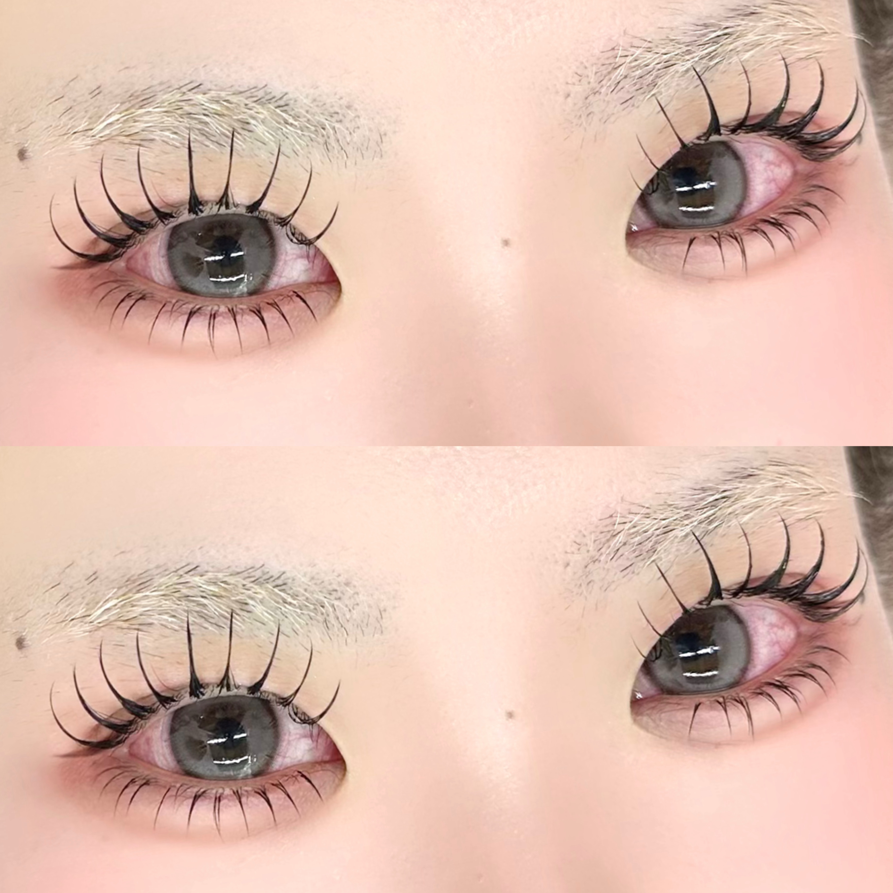 haruu7_daisy