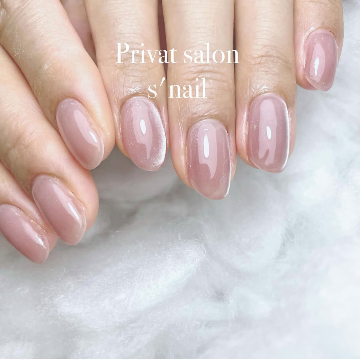 snail_privatesalon