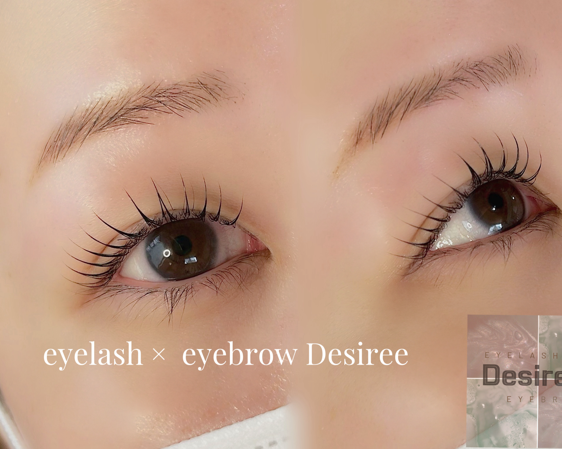 eyelash_eyebrow_desiree.