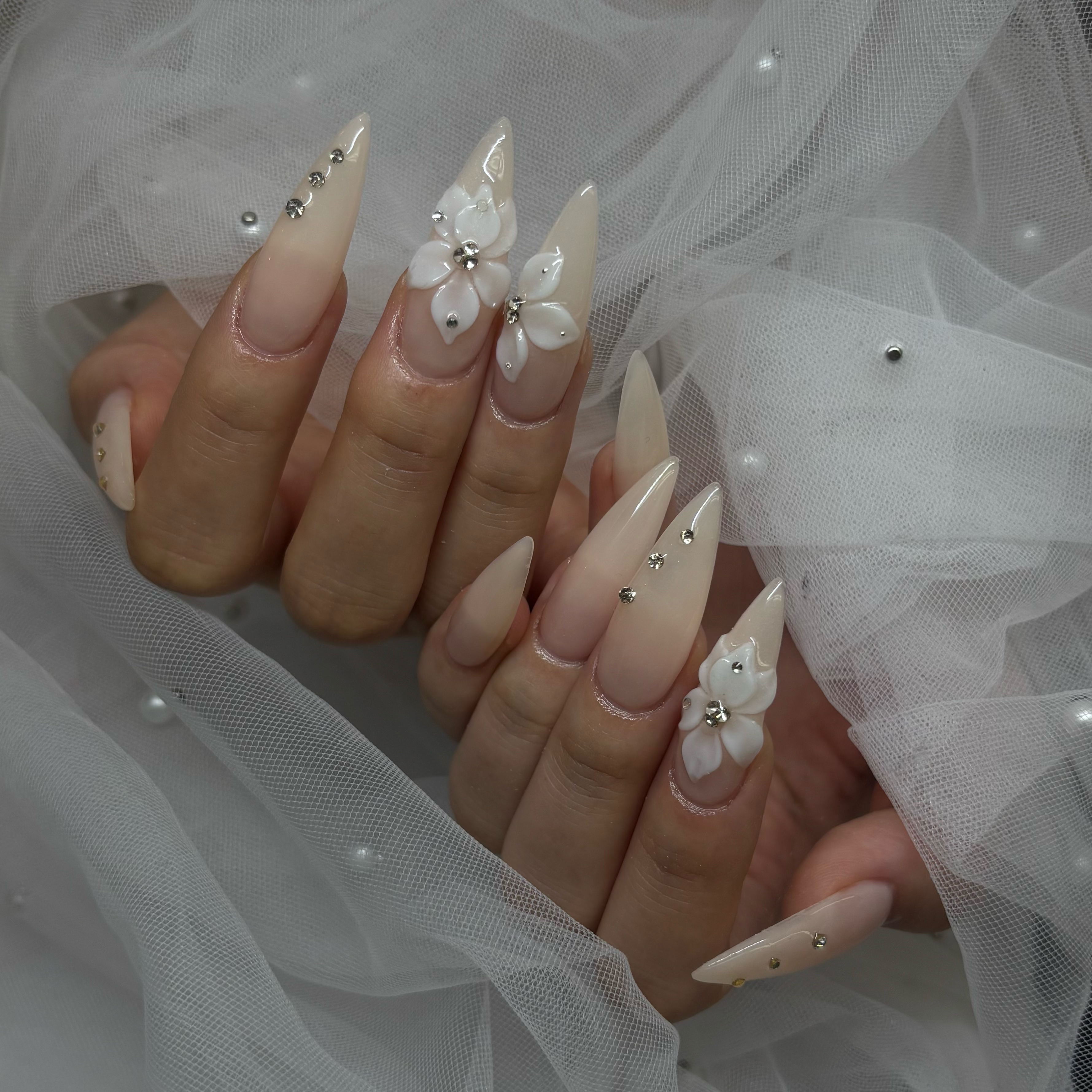 AnynailRamu