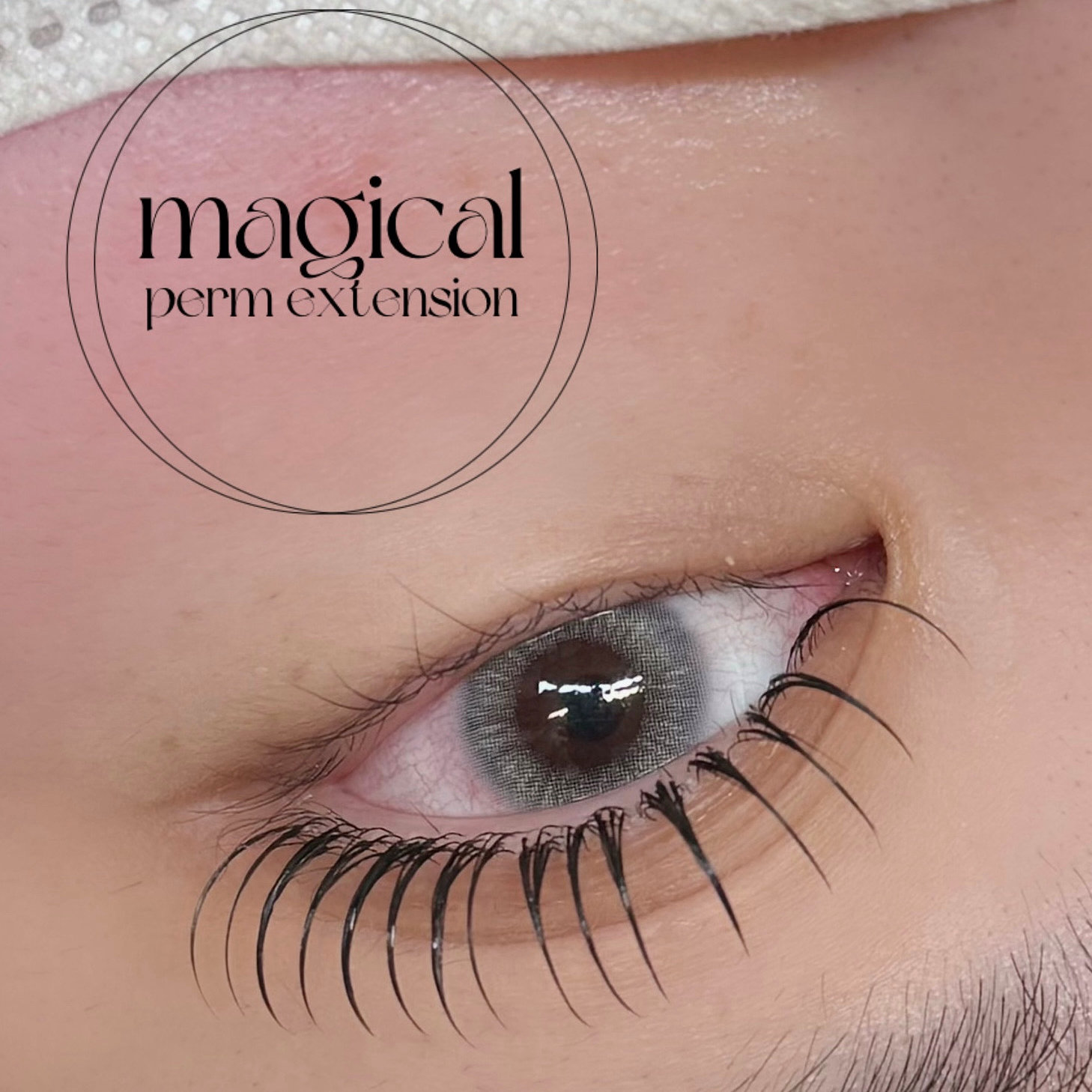tami_eyelash