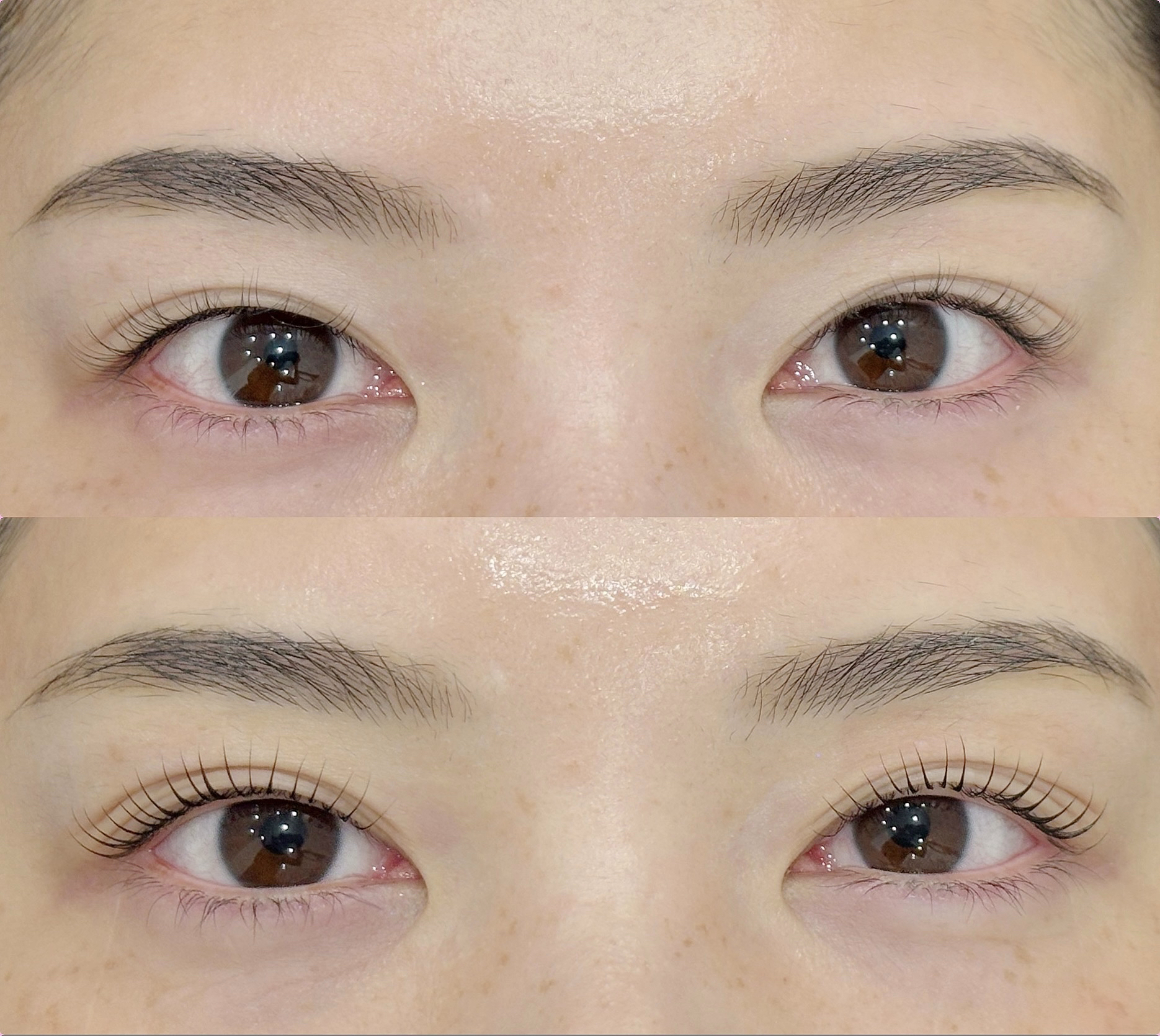 shizuka_kondo_