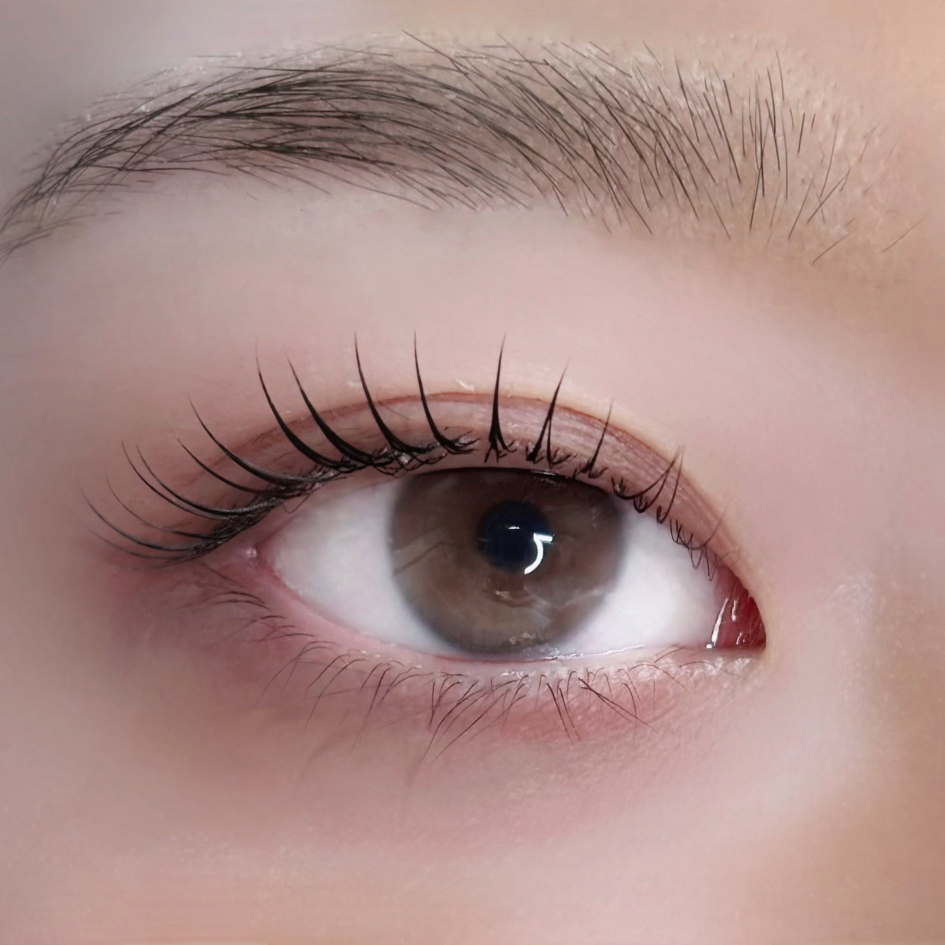 look.eyelash