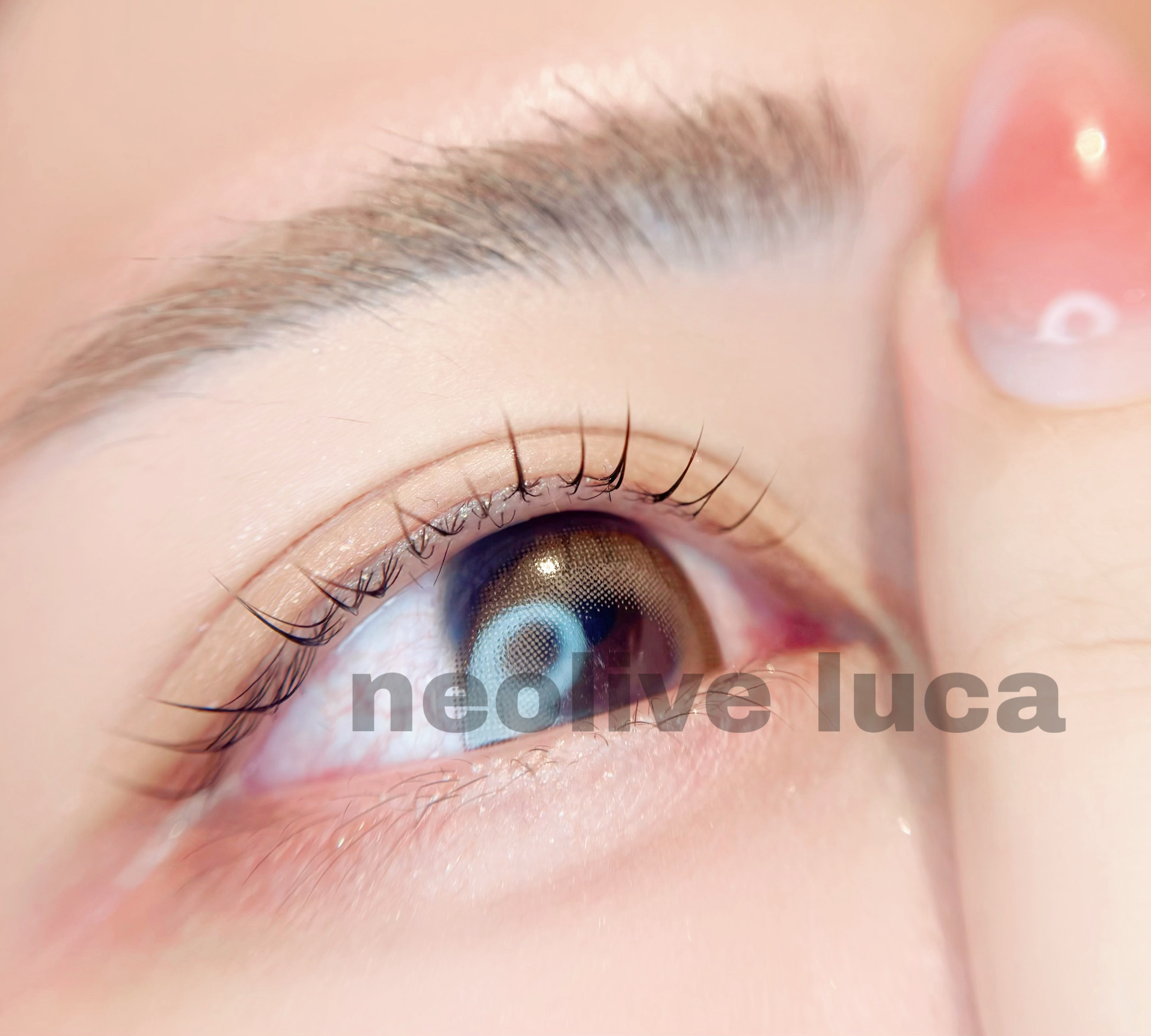Luca_haruka