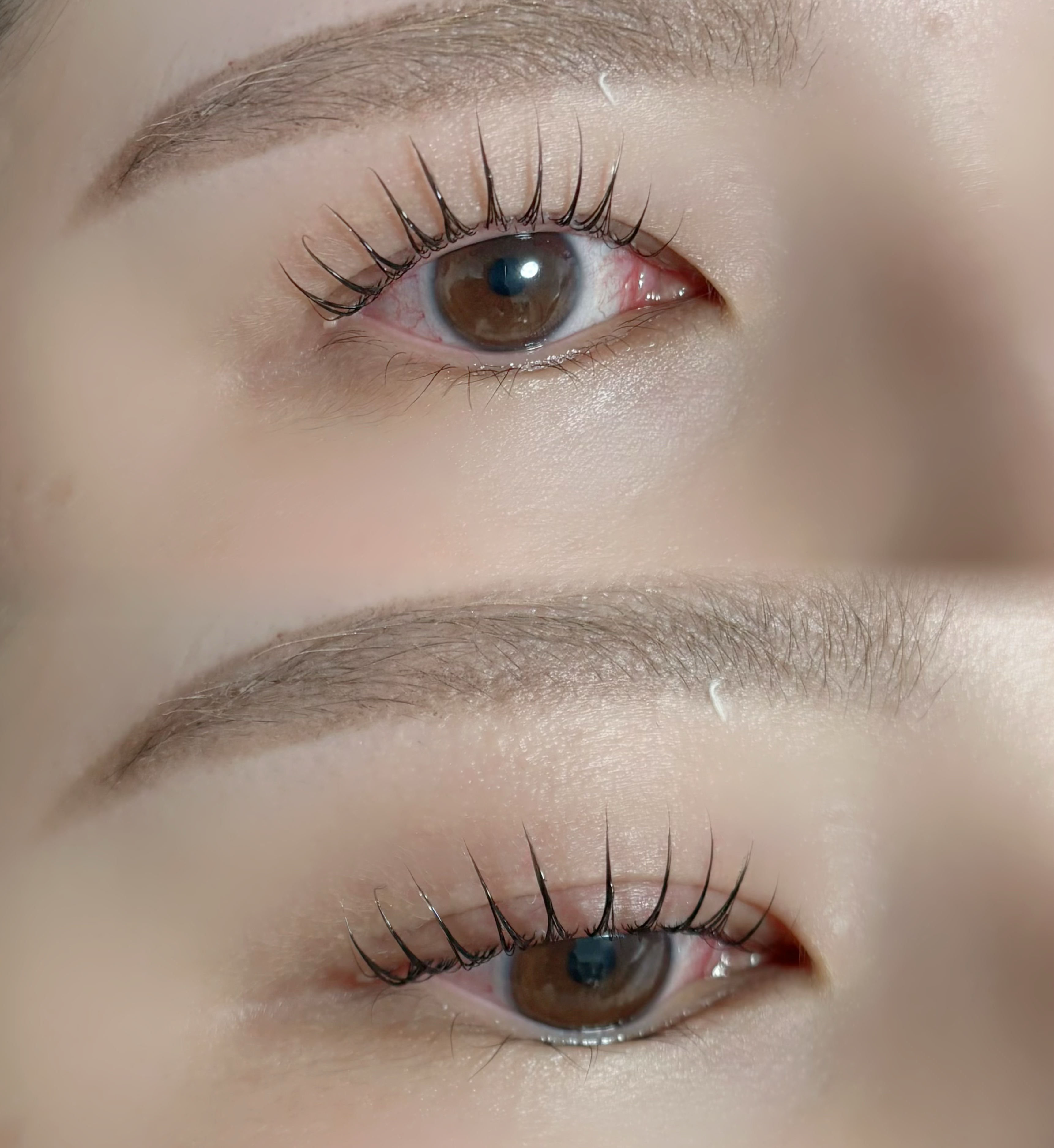 filo_eyelash