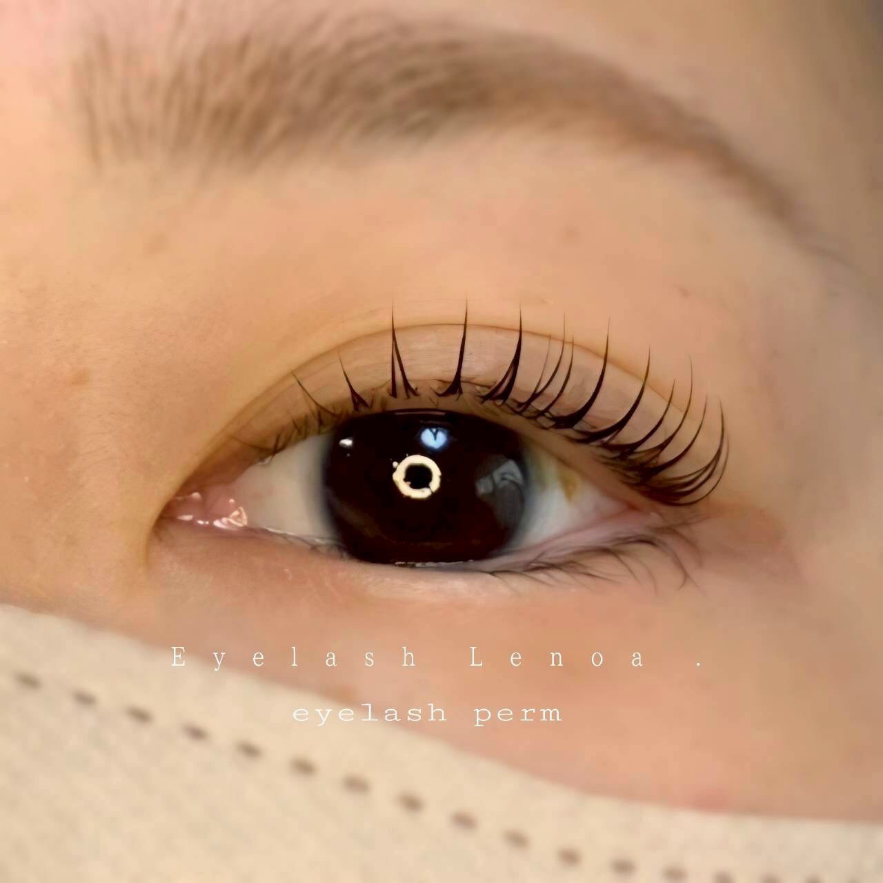 lenoa_eyelash