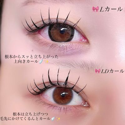 【影にならない🪽‪✨️】フラットマットラッシュ L/LDカール◇120本🎀