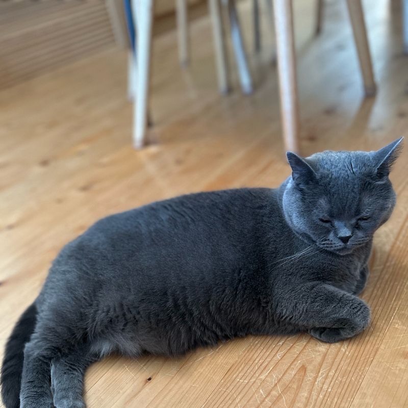 KIKI