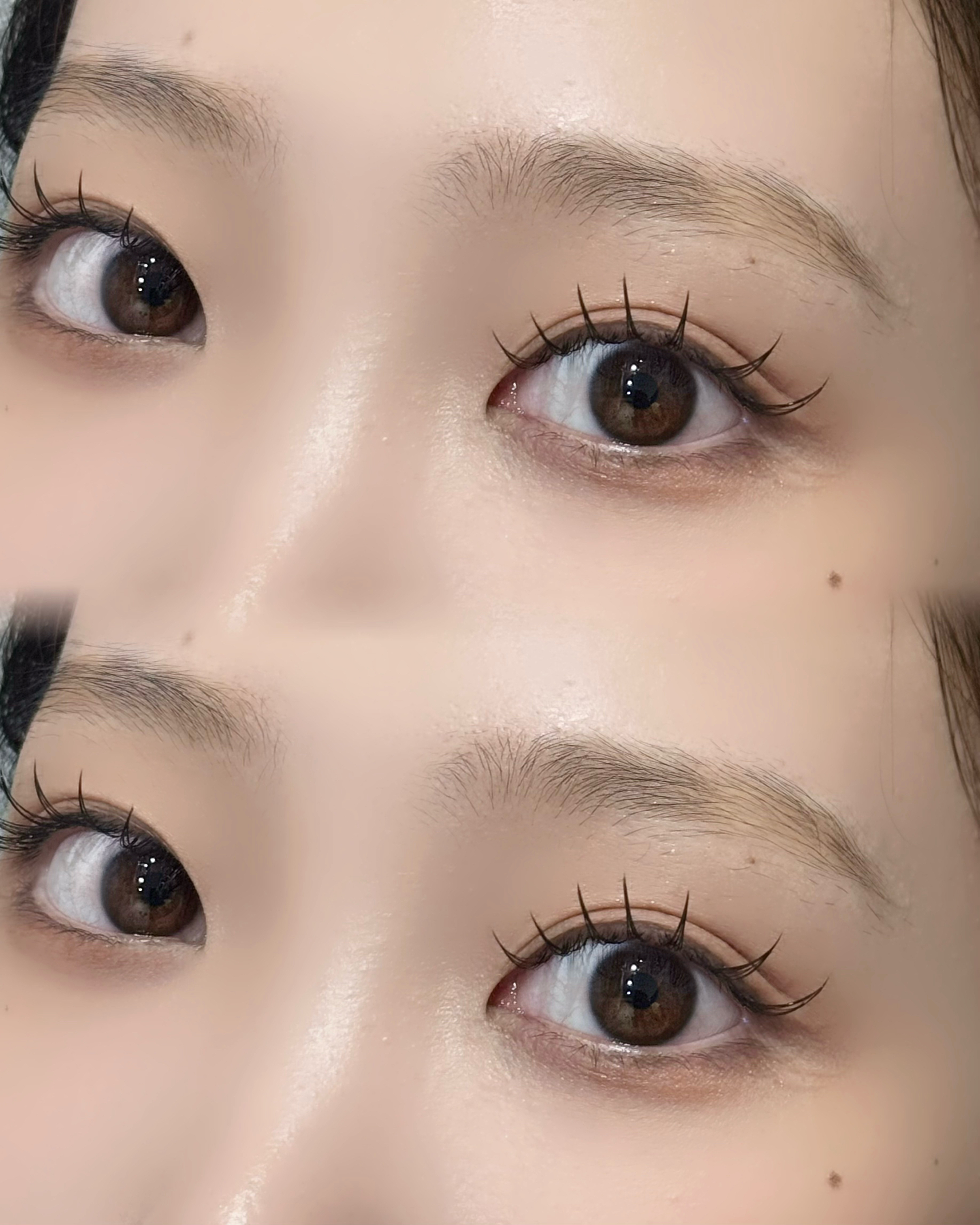 meme.salon___luna