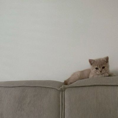 他店パーツオフ