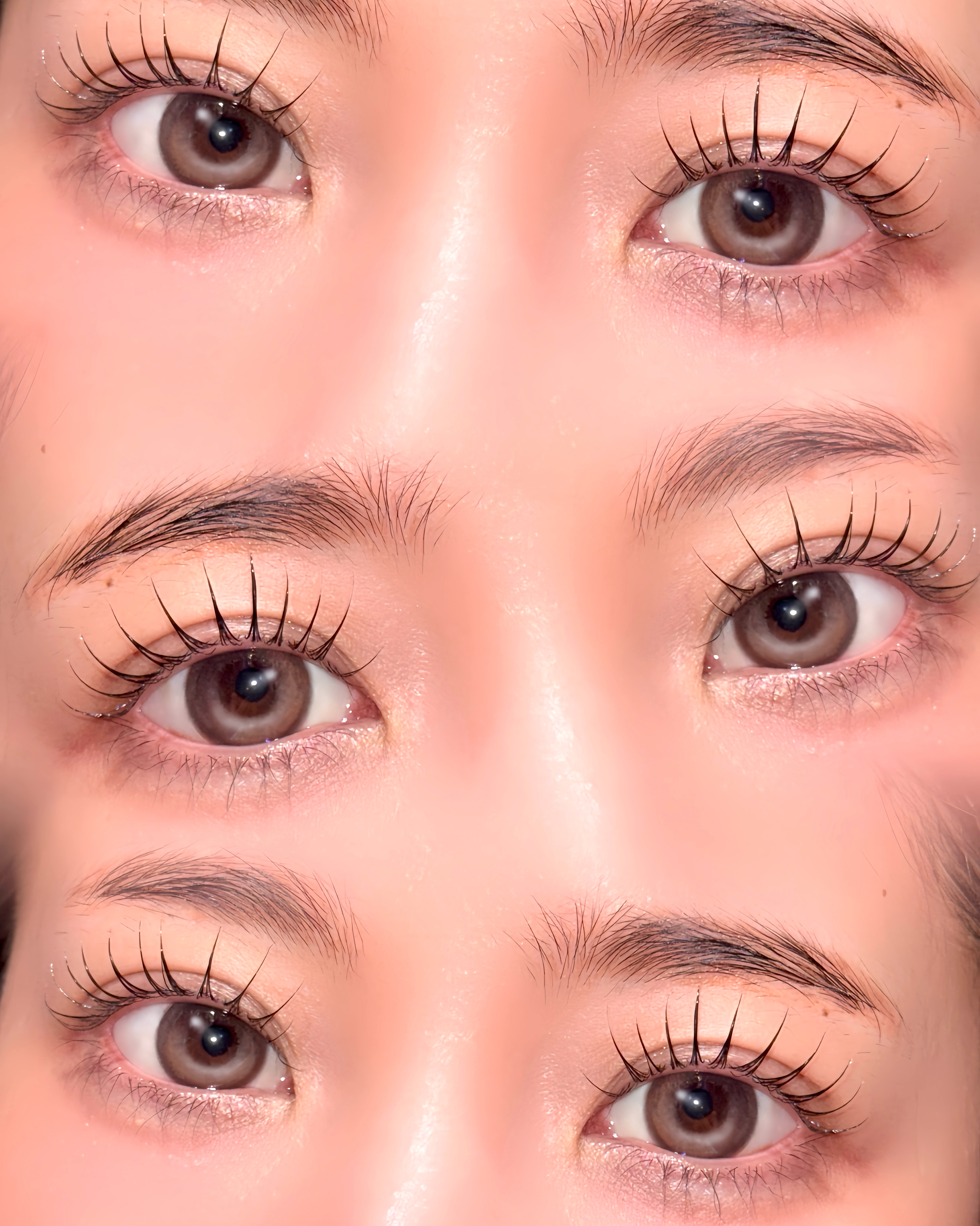 eyelash_mochan
